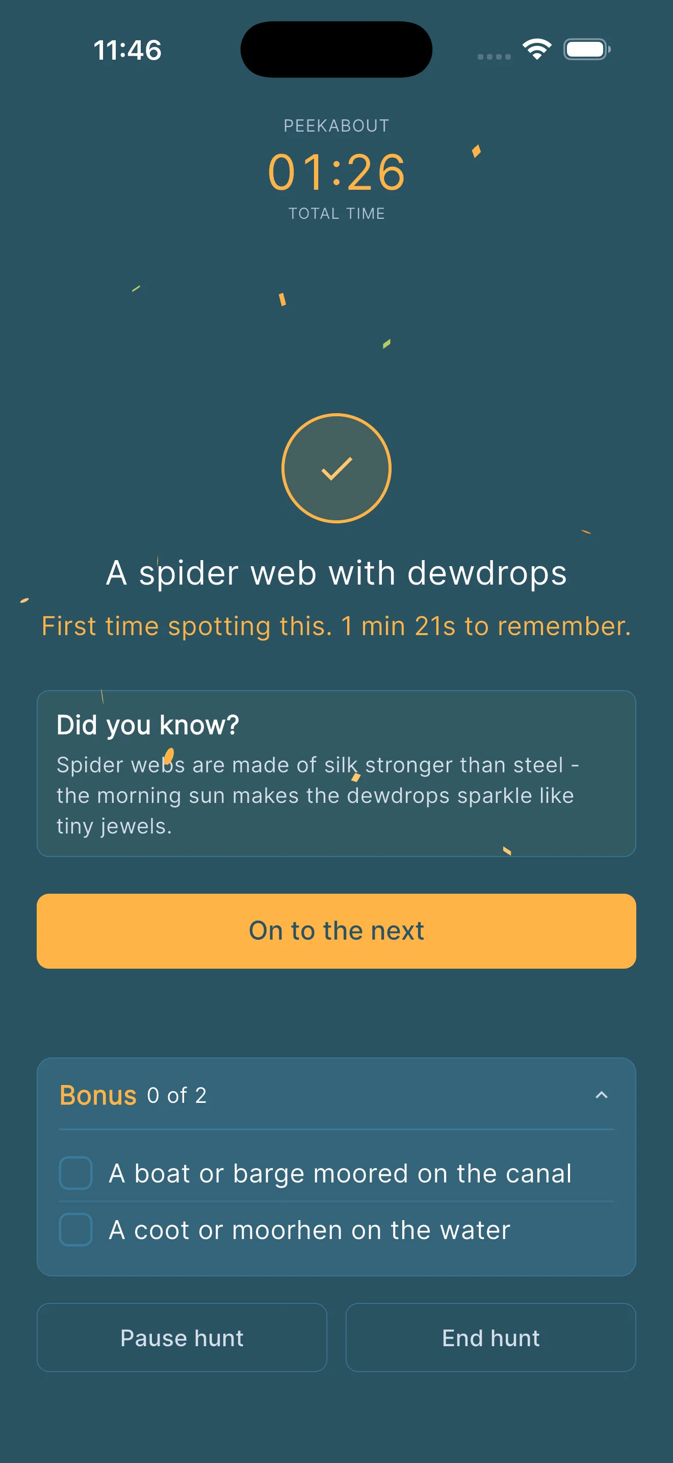 Challenge mode found celebration for A spider web with dewdrops, total time one minute twenty-six seconds, first time spotting this, and a Did You Know fact explaining that spider webs are made of silk stronger than steel and morning sun makes the dewdrops sparkle like tiny jewels